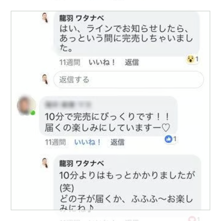 今のあなたに必要な運を五行龍が運んでくる!【昇運五行龍置物】(1名様2匹まで)