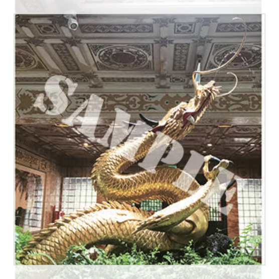 【願望達成の百年金龍カード】★龍羽ワタナベオリジナル商品★