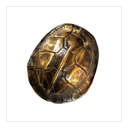 断易の道具【占い用亀甲羅】占い用古銭3枚付き