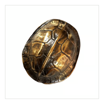 断易の道具【占い用亀甲羅】占い用古銭3枚付き