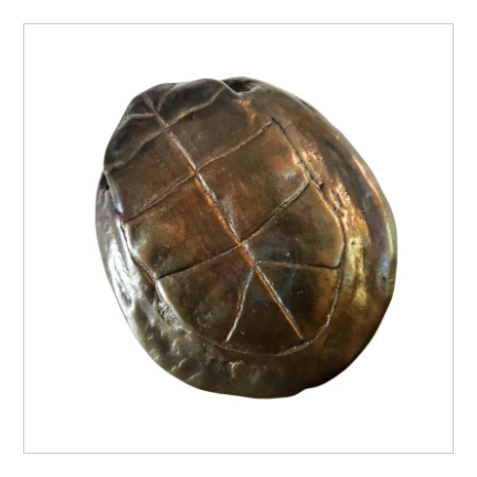 断易の道具【占い用亀甲羅】占い用古銭3枚付き