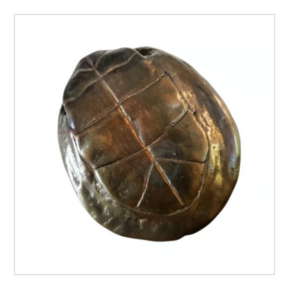 断易の道具【占い用亀甲羅】占い用古銭3枚付き