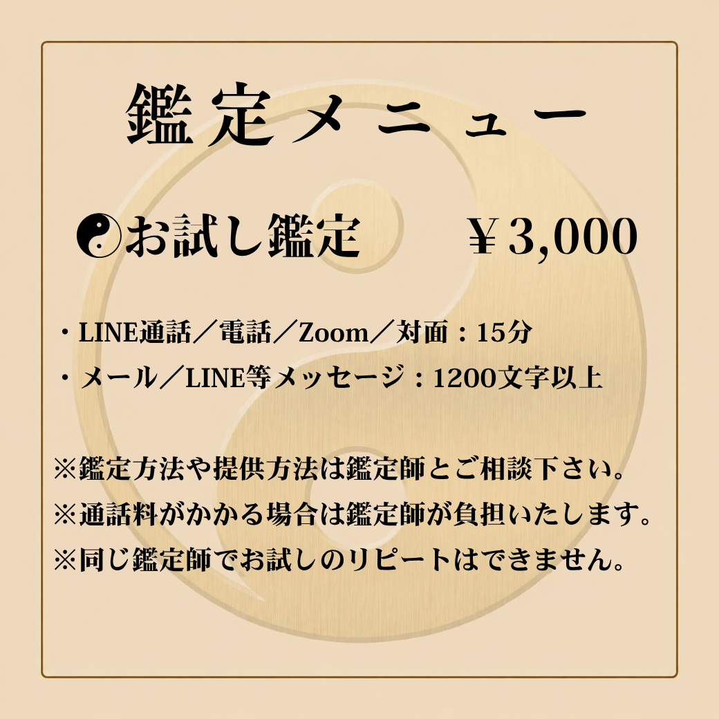 〜貴方の「今」と「これから」を整える鑑定師〜 瑶姫