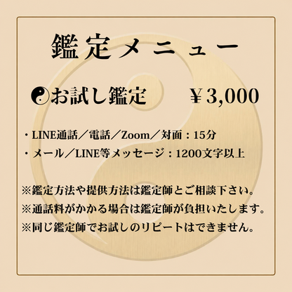 〜貴方の「今」と「これから」を整える鑑定師〜 瑶姫